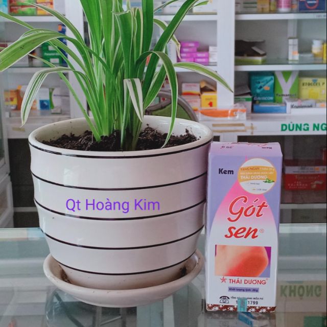 Gót sen Thái Dương