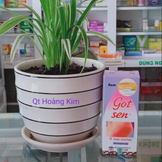 Gót sen Thái Dương