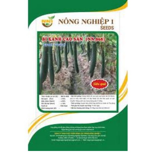 HẠT GIỐNG BÍ XANH CAO SẢN