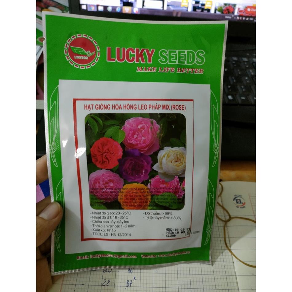 Hạt giống hoa hồng leo Pháp Mix nhập khẩu nhiều màu, sai hoa - 20 hạt