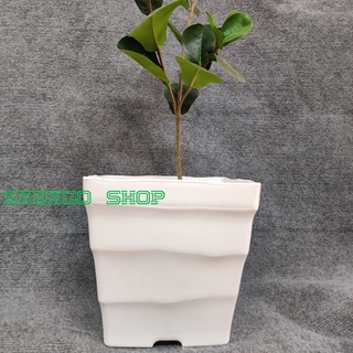 HOT Chậu nhựa trồng cây vuông siêu xinh cao 25cm