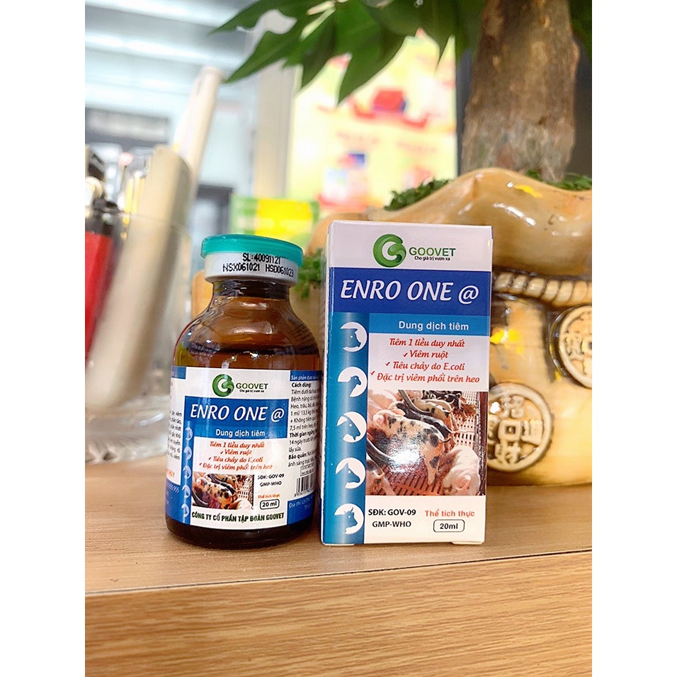 ENRO ONE @ 20ml  Tiêu Chẩy, Bỏ Ăn, Phân Bùn, Phân Vàng