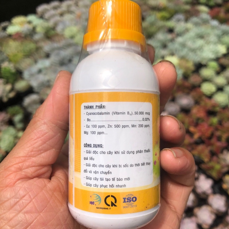Chế phẩm B12 Dưỡng Cây Chống Sốc Cho Cây Cảnh