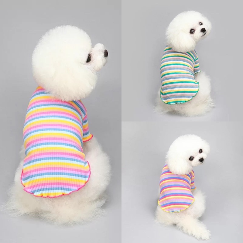 Áo len tăm nhiều màu cổ 2cm cho chó mèo
