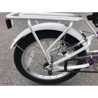 Xe đạp trẻ em Nhật Future 16 inch