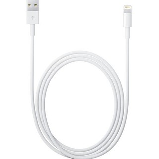 CÁP SẠC LIGHTNING TITAN CA25