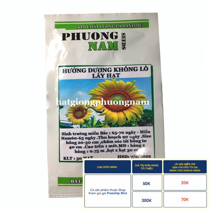 30H - HẠT GIỐNG HƯỚNG DƯƠNG KHỔNG LỒ 20 - 40cm LẤY HẠT