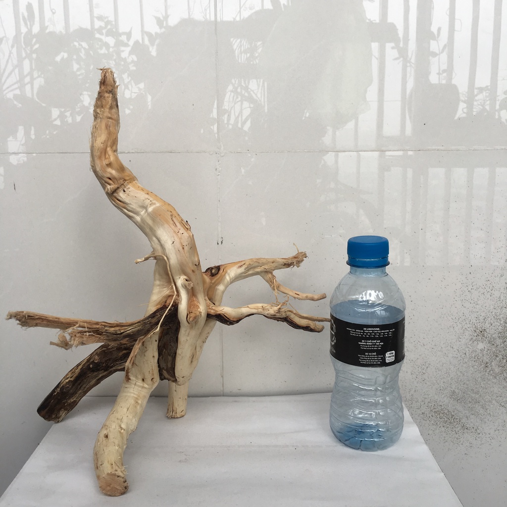 Gốc lũa bonsai thủy sinh, lũa gốc Hải Sơn Quỳ, Sa tùng,... loại lớn