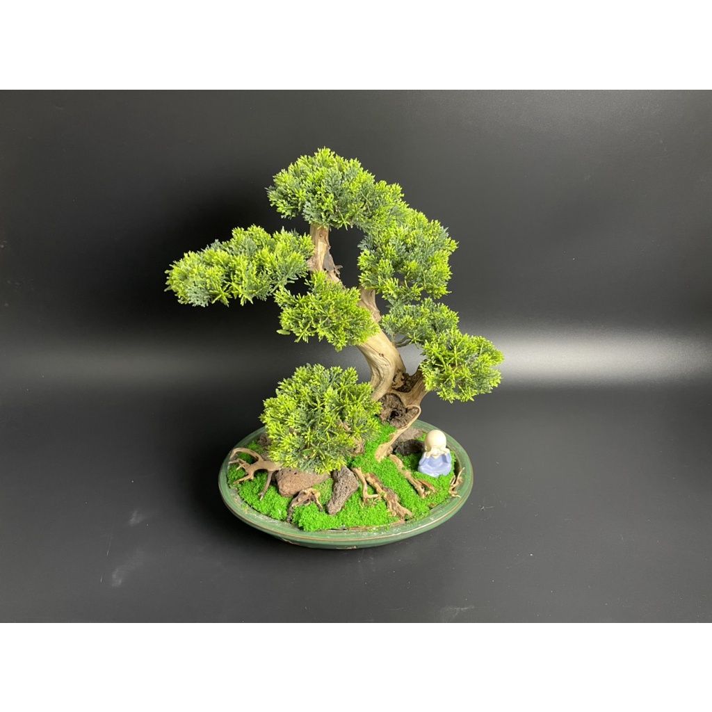 Lũa Bonsai, Lũa thủy sinh dùng trang trí hồ cá cảnh, hồ thủy sinh, văn phòng, nhà cửa