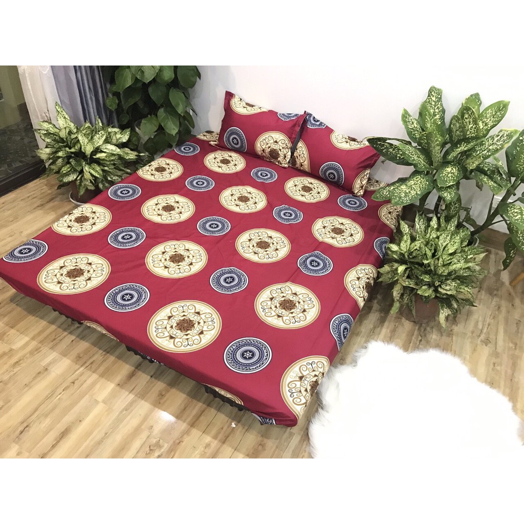 Bộ ga chun và 2 áo gối nằm Emmidecor - mẫu đồng tiền đỏ, drap cotton poly