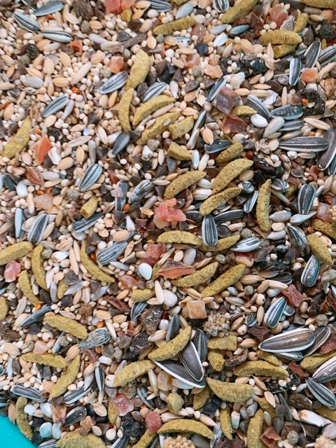 Hạt puur hồng cao cấp dành cho Vẹt nhỏ gói chiết lẻ  100g và 300g