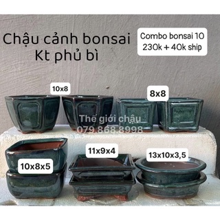 Chậu bonsai mini - chậu mini - chậu mini các loại