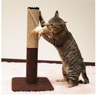 Trụ cào móng cho mèo Cattyman