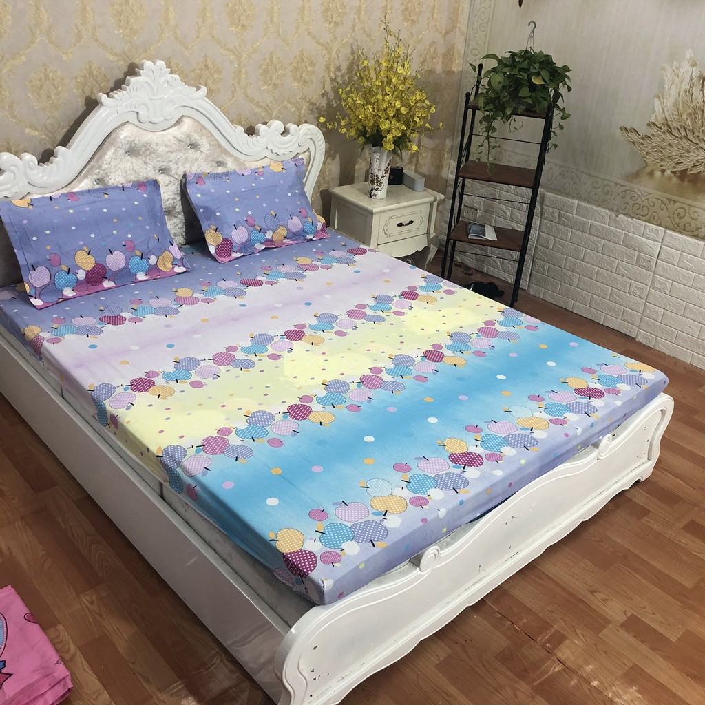 Bộ ga gối 1m6x2m set 3 món poly rẻ nhất hcm mẫu táo nhiều màu