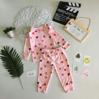 Combo 6 bộ Bozip xuất
