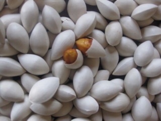 Bạch quả ( quả ngân hạnh ) 1kg