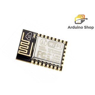 Modul thu phát wifi ESP8266 12E/12F/12S