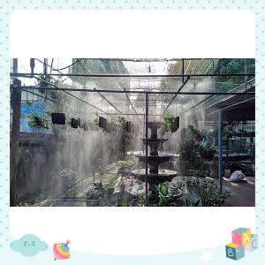 Combo 10 bộ béc phun sương tặng 10m dây 8mm