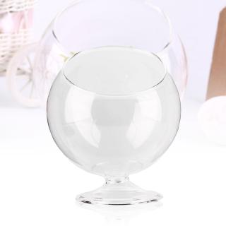Bể Cá Thủy Tinh Hình Tròn Trang Trí Nội Thất