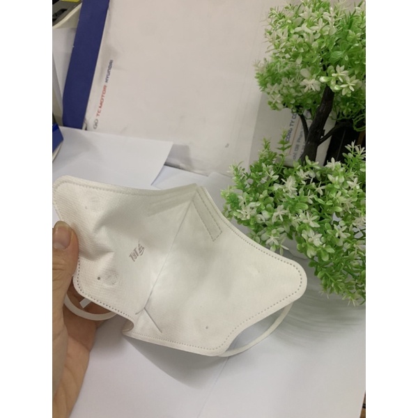 Hộp 10 chiếc khẩu trang 6D TT mask chính hãng