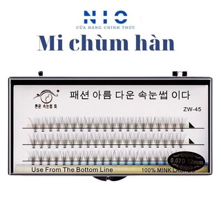 Mi chùm HÀN