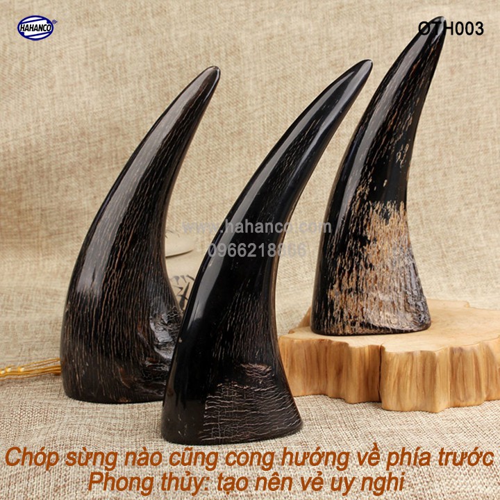 Chóp Sừng Trâu Vật Phẩm Phong Thủy HAHANCO Giàu Sang Phú Quý - OTH003