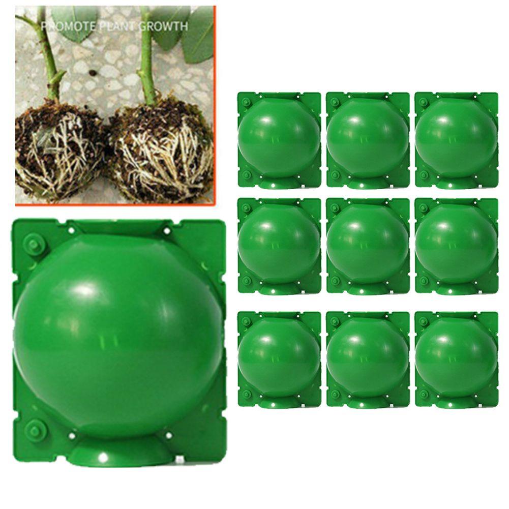 Set 10 Bóng Trồng Cây Chất Lượng Cao Có Thể Tái Sử Dụng