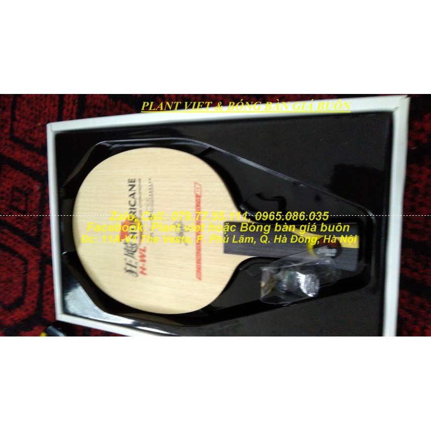 Cốt vợt bóng bàn Dhs H-WL