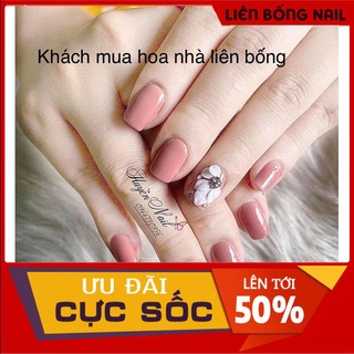 hoa bột nail- hoa góc móng