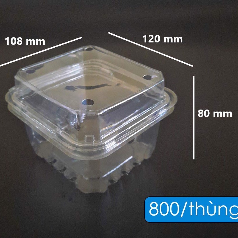 Hộp đựng trái cây loại nửa kg và 1 kg