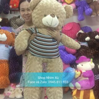 Gấu Teddy 1m2