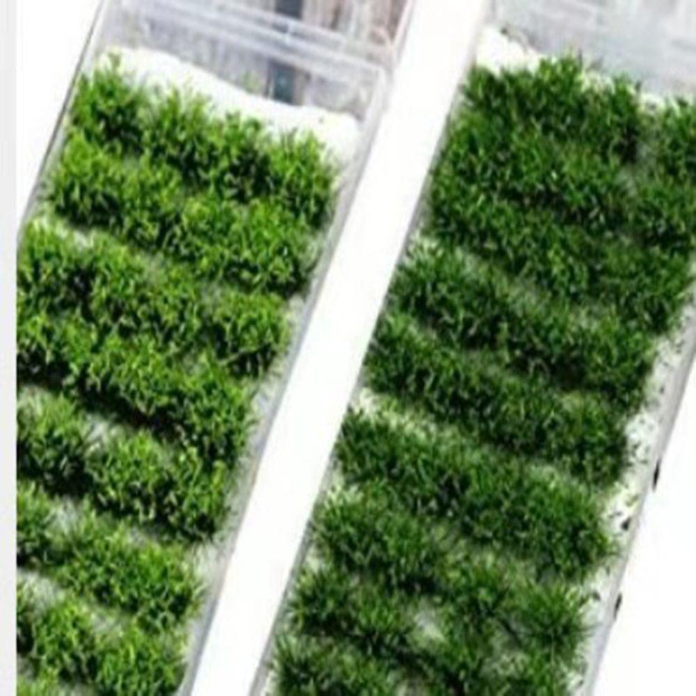 Set 40 Mô Hình Cây Cỏ DIY Trang Trí Tiểu Cảnh