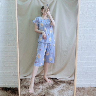 Đồ bộ tole - Đồ bộ lanh lửng tay bèo