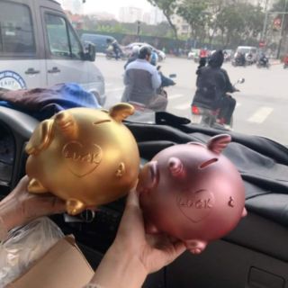 Heo thiên thần, heo cánh tiên