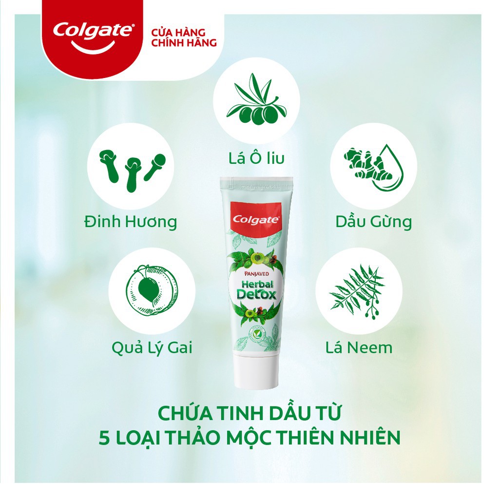 Bộ Chăm sóc răng miệng Colgate từ thiên nhiên: Kem đánh răng thảo mộc 120g + Nư