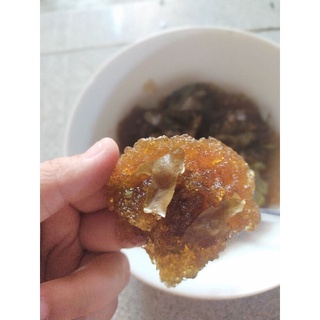 hạt ươi rừng Nam Giang