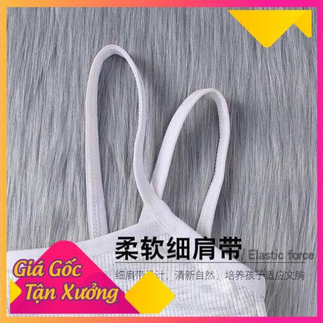 [SIÊU SALE Áo Bra Học Sinh,Bé Gái Có Đệm Ngực | BigBuy360 - bigbuy360.vn