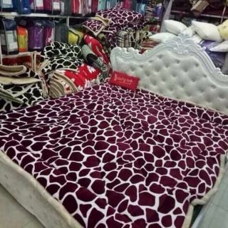 Chăn lông cừu việt nam