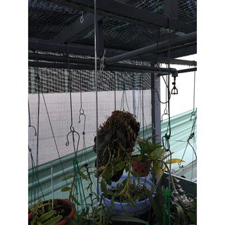 Bộ 10 Móc nối chậu lan
