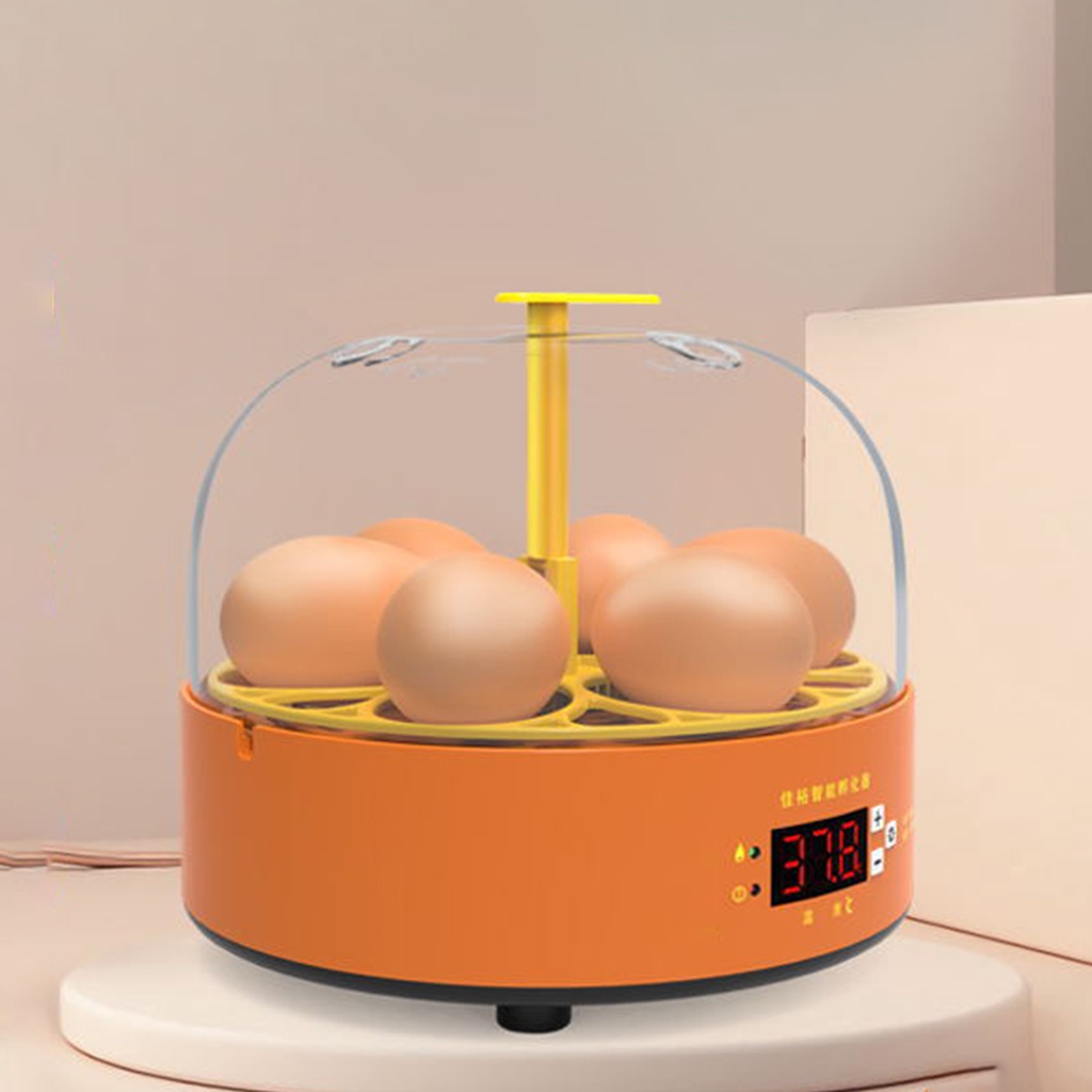 Máy ấp trứng mini tự động dành cho trẻ em