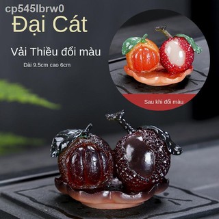◘◙Trà vải đổi màu thú cưng khay bong bóng nhỏ trang trí bàn bộ lễ chơi