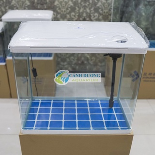 Hồ Cá Mini Để Bàn XS-620 (Combo đầy đủ)