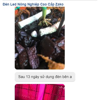 Đèn Hoa Lan 20W Thế Hệ Mới