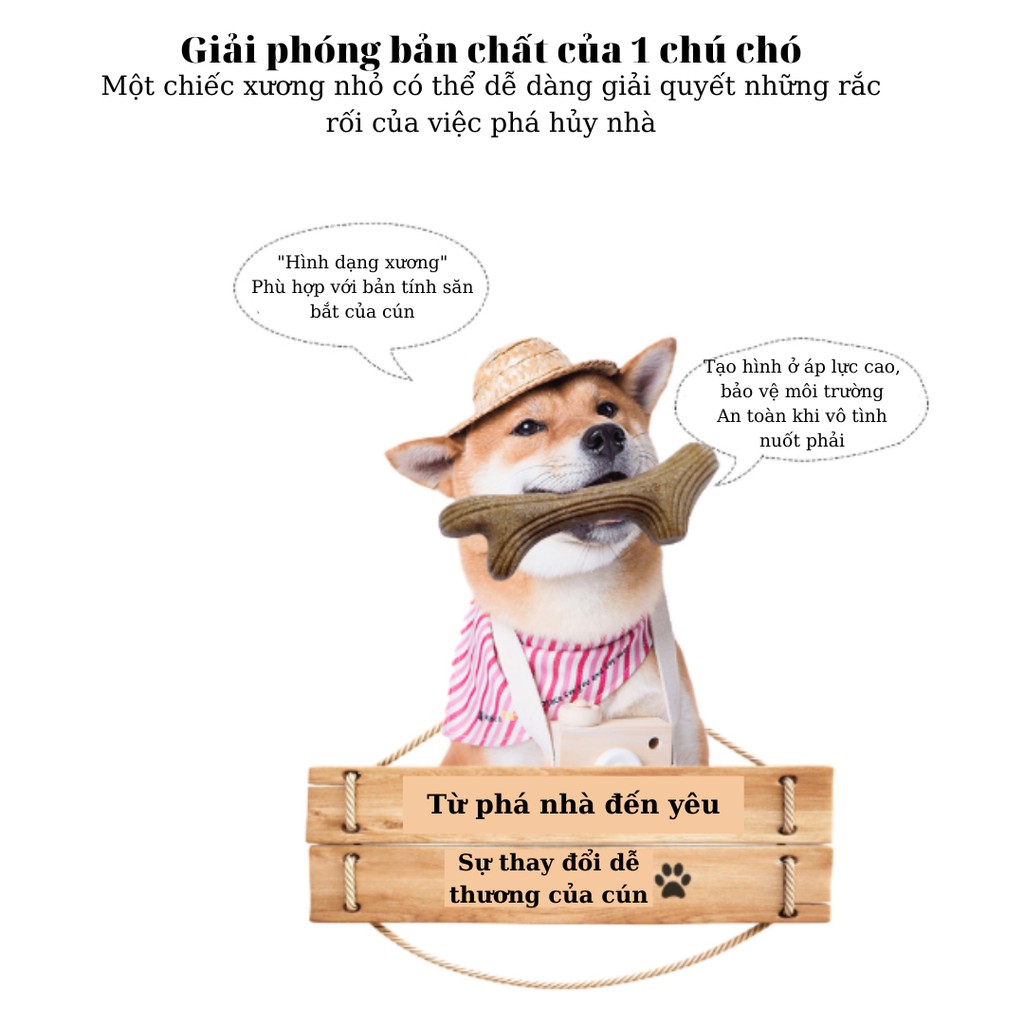 Gigwi Thanh gặm gỗ ép thiên nhân an toàn tuyệt đối khi nuốt phải cho cún