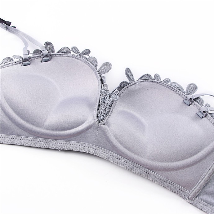 Áo Ngực Cao Cấp 1275 Xám