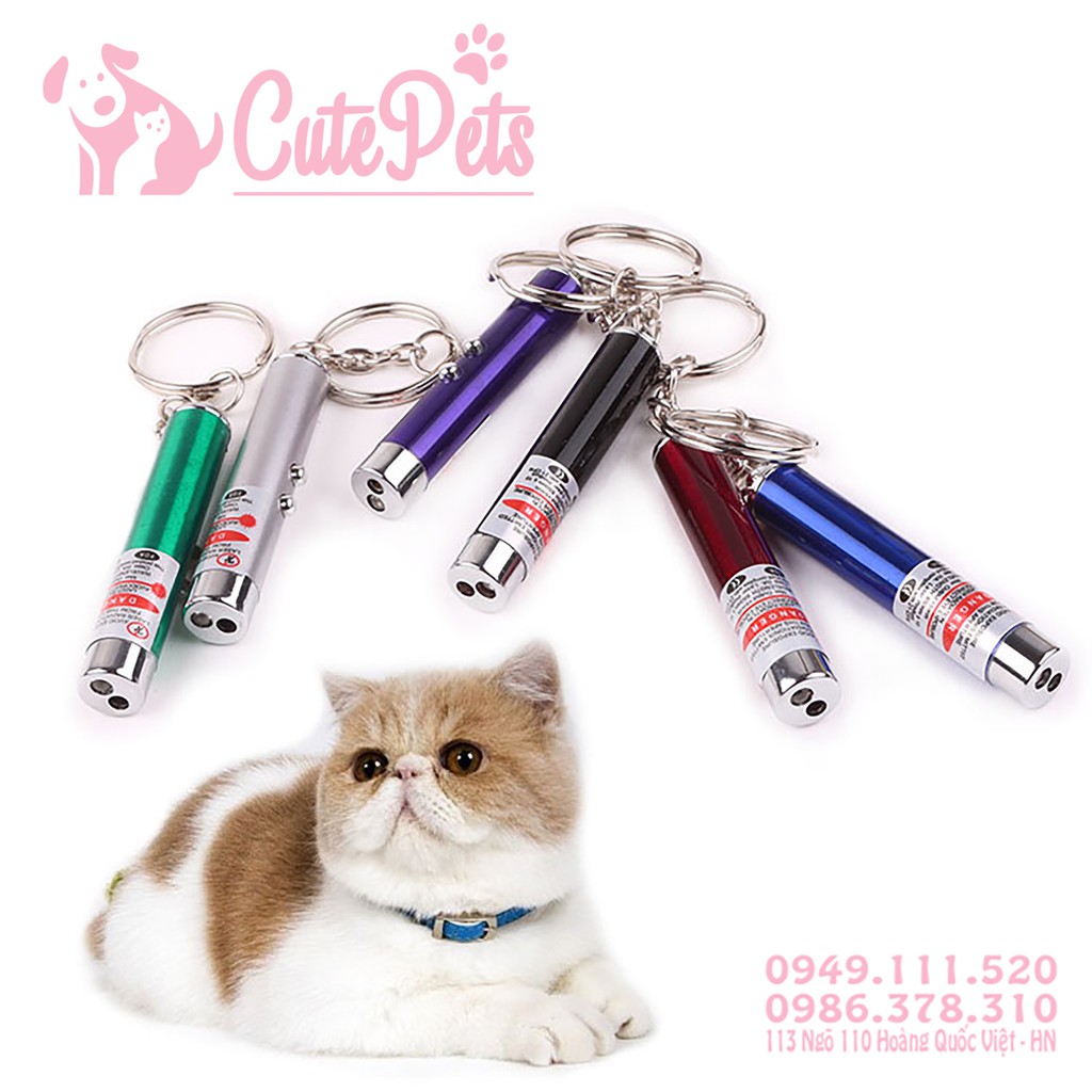 🔦 Đồ chơi Đèn Lazer cho mèo - CutePets Phụ kiện thú cưng Pet shop Hà Nội