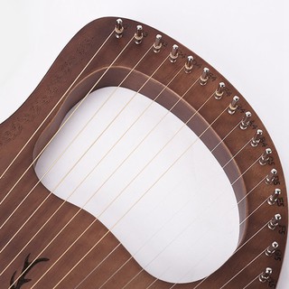 Bộ 16 Dây Đàn 16-string