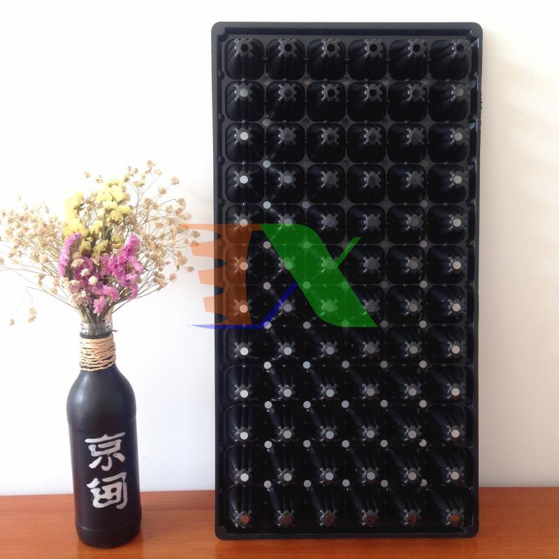 Thùng 150 Khay nhựa ươm cây 72 lỗ, Vỉ ươm hạt giống, Khay nhựa PVC ươm hạt rau hoa