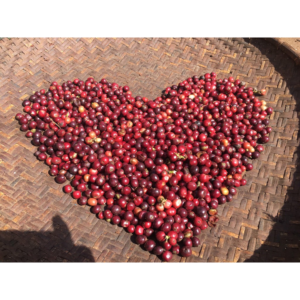 [Gói 500g] Cà Phê nguyên chất Đầu Nguồn Buôn Ma Thuột ☕️