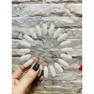 Móng Mẫu - Móng Học Vẽ -Học Sơn-Nail- 1 vĩ